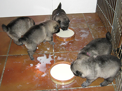 Bonny & Donatus